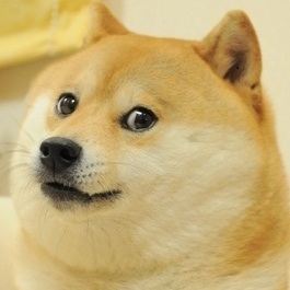 Doge_(1).jpg